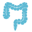 Colon Colon